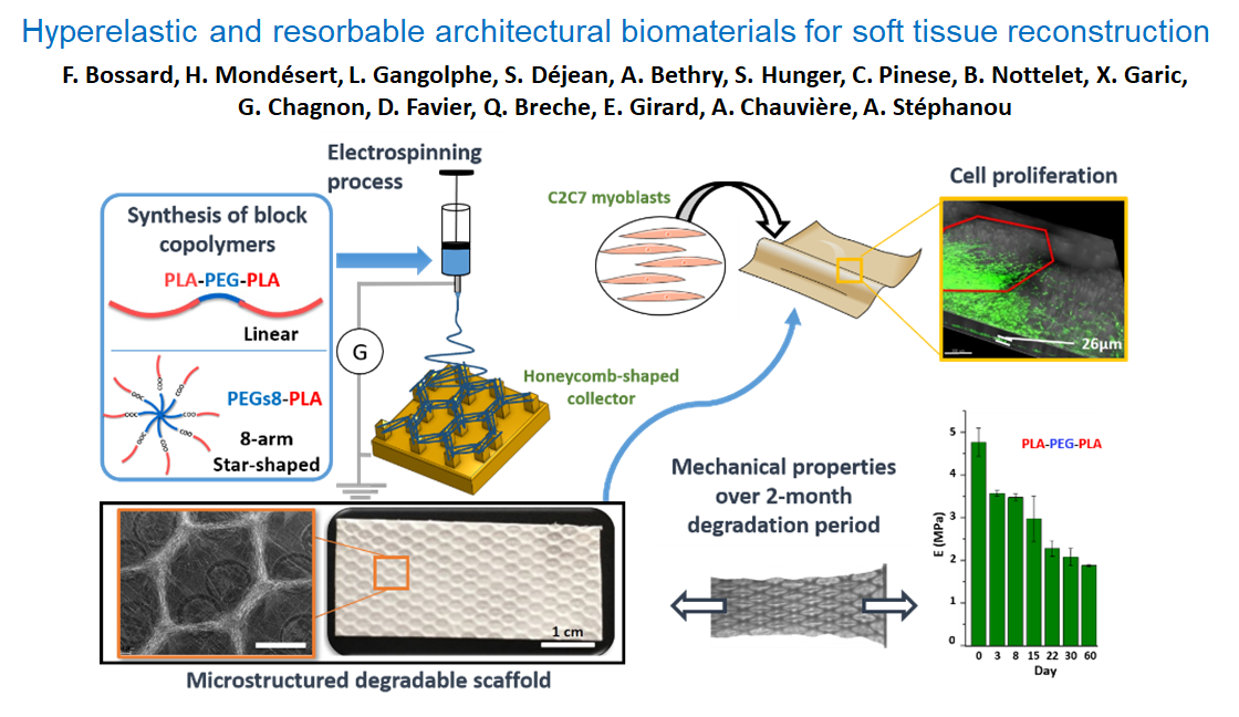 Bioscaff Project